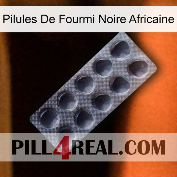 African Black Ant Pills 30.jpg